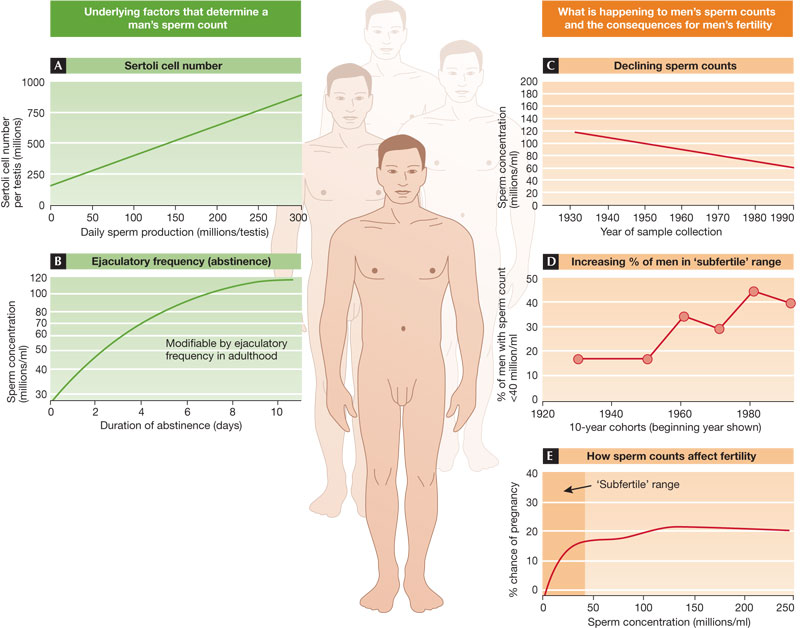 Info graph of sperm count