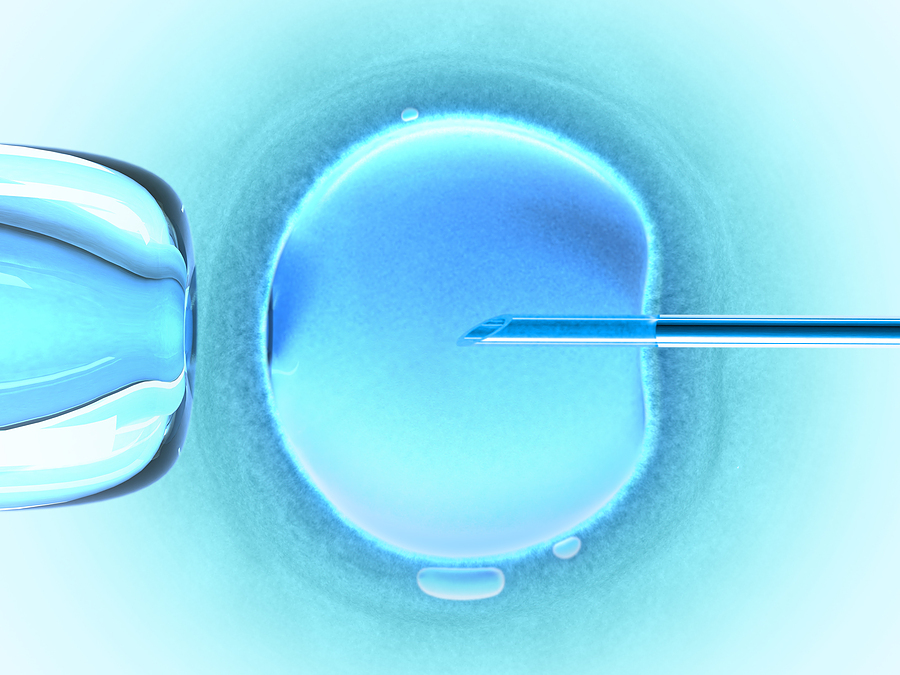 Microscopic image of ICSI procedure